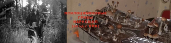 первитин Армянск